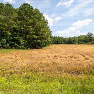 Photo #22 of Off Highway 258,  Rich Square , NC 27.8 acres