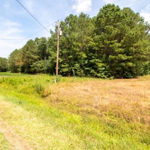 Photo #23 of Off Highway 258,  Rich Square , NC 27.8 acres