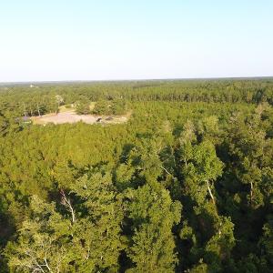 Photo #2 of Off John Owen Rd, White Oak, NC 18.6 acres