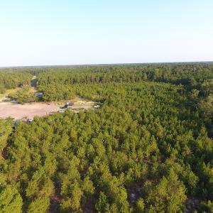 Photo #8 of Off John Owen Rd, White Oak, NC 18.6 acres