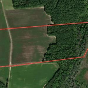 Photo #1 of SOLD property in Off Hargrave Rd, Jackson, NC 41.0 acres