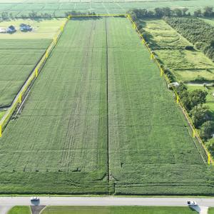 Photo #17 of Head of River Rd and Long Ridge Rd, Chesapeake, VA 78.0 acres
