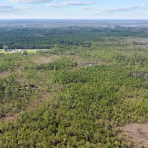 Photo #7 of 1022 Horne Rd, Lowland, NC 10.0 acres