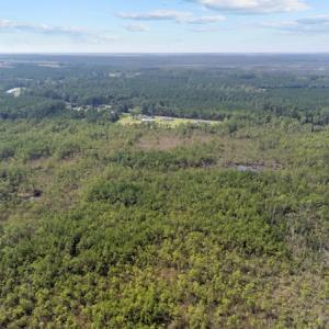 Photo #8 of 1022 Horne Rd, Lowland, NC 10.0 acres