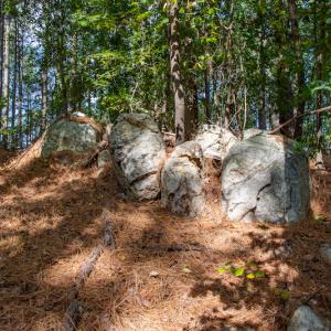 Photo #15 of SOLD property in Off Hwy 24-27 W, Mt. Gilead, NC 46.1 acres