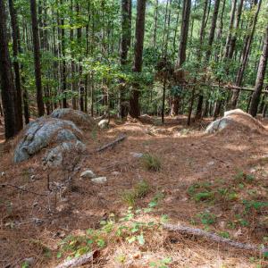Photo #20 of SOLD property in Off Hwy 24-27 W, Mt. Gilead, NC 46.1 acres