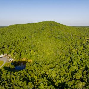 Photo #5 of SOLD property in Off Hwy 24-27 W, Mt. Gilead, NC 46.1 acres