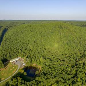 Photo #6 of SOLD property in Off Hwy 24-27 W, Mt. Gilead, NC 46.1 acres