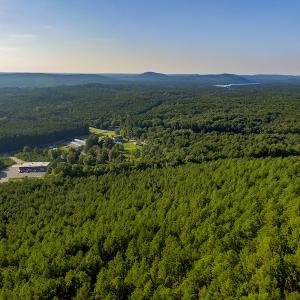 Photo #8 of SOLD property in Off Hwy 24-27 W, Mt. Gilead, NC 46.1 acres
