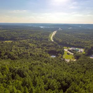 Photo #9 of SOLD property in Off Hwy 24-27 W, Mt. Gilead, NC 46.1 acres