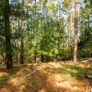 Photo #28 of SOLD property in Off Hwy 24-27 W, Mt. Gilead, NC 46.1 acres