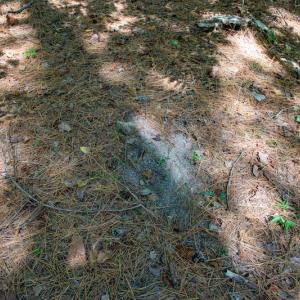 Photo #30 of SOLD property in Off Hwy 24-27 W, Mt. Gilead, NC 46.1 acres