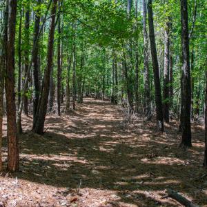 Photo #34 of SOLD property in Off Hwy 24-27 W, Mt. Gilead, NC 46.1 acres