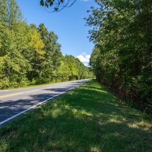 Photo #38 of Off Hwy 24-27 W, Mt. Gilead, NC 46.1 acres