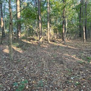 Photo #9 of 545 Holly Grove School Road, West End, NC 1.0 acres