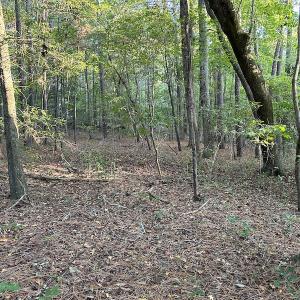 Photo #10 of 545 Holly Grove School Road, West End, NC 1.0 acres