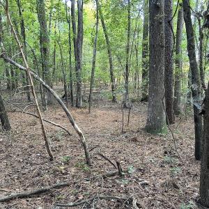 Photo #12 of 545 Holly Grove School Road, West End, NC 1.0 acres