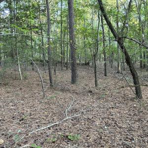 Photo #13 of 545 Holly Grove School Road, West End, NC 1.0 acres