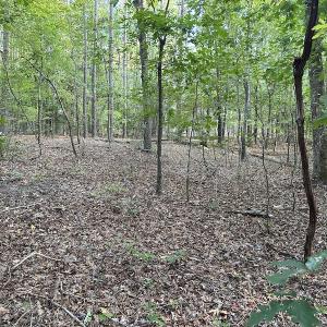 Photo #14 of 545 Holly Grove School Road, West End, NC 1.0 acres