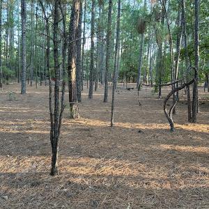 Photo #16 of 545 Holly Grove School Road, West End, NC 1.0 acres