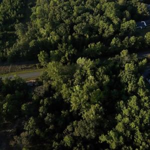 Photo #4 of 545 Holly Grove School Road, West End, NC 1.0 acres