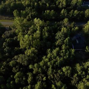 Photo #5 of 545 Holly Grove School Road, West End, NC 1.0 acres