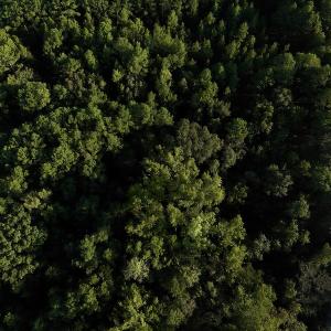 Photo #6 of 545 Holly Grove School Road, West End, NC 1.0 acres