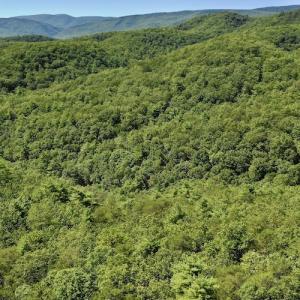 Photo #3 of SOLD property in Off Doe Circle, Clifton Forge, VA 10.6 acres