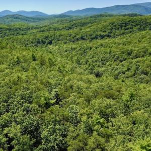 Photo #6 of SOLD property in Off Doe Circle, Clifton Forge, VA 10.6 acres