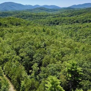 Photo #7 of SOLD property in Off Doe Circle, Clifton Forge, VA 10.6 acres