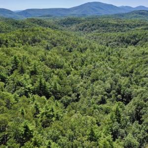 Photo #9 of SOLD property in Off Doe Circle, Clifton Forge, VA 10.6 acres