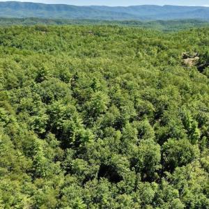 Photo #10 of SOLD property in Off Doe Circle, Clifton Forge, VA 10.6 acres