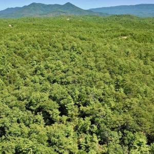Photo #11 of SOLD property in Off Doe Circle, Clifton Forge, VA 10.6 acres