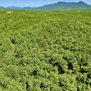Photo #12 of SOLD property in Off Doe Circle, Clifton Forge, VA 10.6 acres