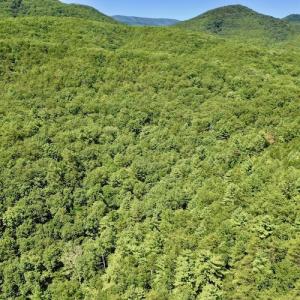 Photo #13 of SOLD property in Off Doe Circle, Clifton Forge, VA 10.6 acres
