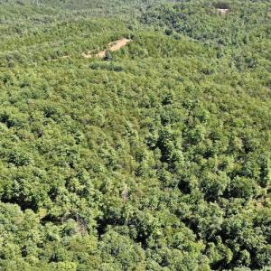 Photo #14 of SOLD property in Off Doe Circle, Clifton Forge, VA 10.6 acres