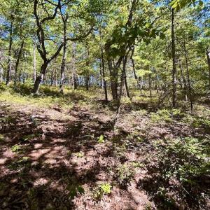 Photo #19 of SOLD property in Off Doe Circle, Clifton Forge, VA 10.6 acres