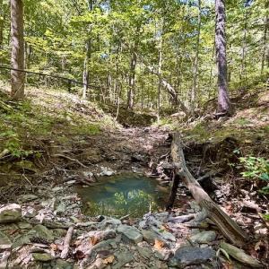 Photo #22 of SOLD property in Off Doe Circle, Clifton Forge, VA 10.6 acres