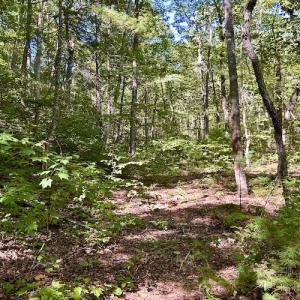 Photo #25 of SOLD property in Off Doe Circle, Clifton Forge, VA 10.6 acres