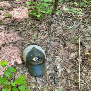 Photo #30 of SOLD property in Off Doe Circle, Clifton Forge, VA 10.6 acres