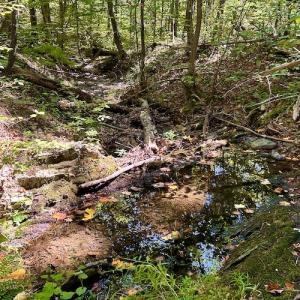 Photo #32 of SOLD property in Off Doe Circle, Clifton Forge, VA 10.6 acres