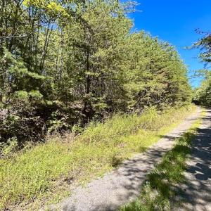 Photo #39 of SOLD property in Off Doe Circle, Clifton Forge, VA 10.6 acres
