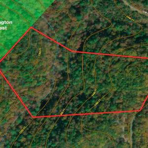 Photo #40 of SOLD property in Off Doe Circle, Clifton Forge, VA 10.6 acres