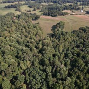 Photo #9 of Off Willis Pinnell Road , Norlina, NC 2.9 acres