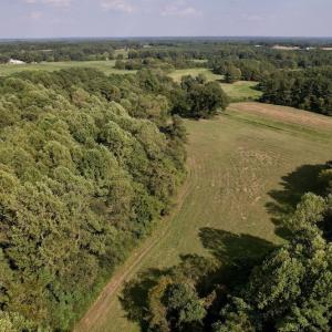 Photo #10 of Off Willis Pinnell Road , Norlina, NC 2.9 acres