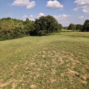 Photo #12 of Off Willis Pinnell Road , Norlina, NC 2.9 acres