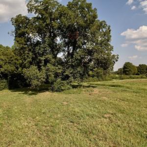Photo #13 of Off Willis Pinnell Road , Norlina, NC 2.9 acres