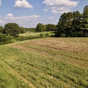 Photo #14 of SOLD property in Off Willis Pinnell Road , Norlina, NC 2.9 acres