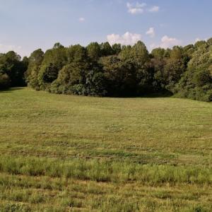 Photo #15 of Off Willis Pinnell Road , Norlina, NC 2.9 acres