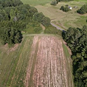 Photo #16 of Off Willis Pinnell Road , Norlina, NC 2.9 acres